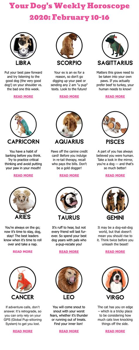 dog horoscope tomorrow|dog next week horoscope.